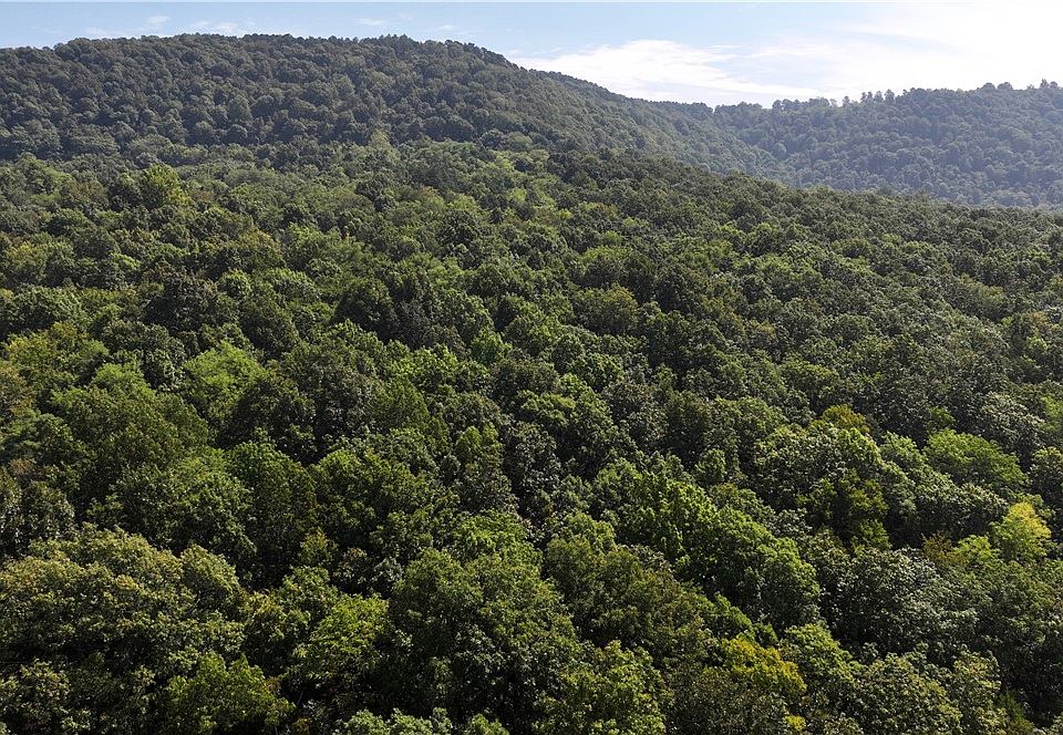 County Road 269, Mount Judea, AR 72655 MLS 1257046 Zillow