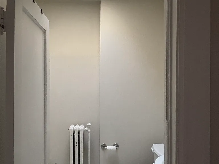 Bathroom has a skylight!