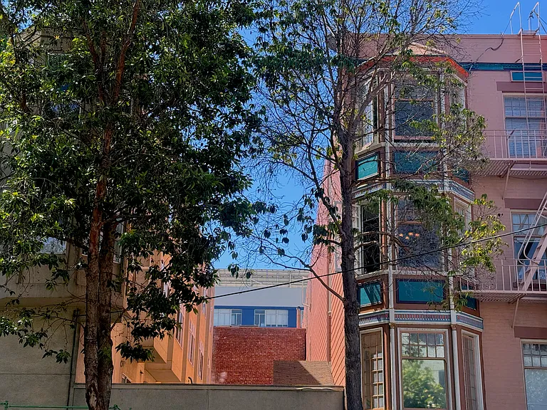 225 Fell Street — Photo 8