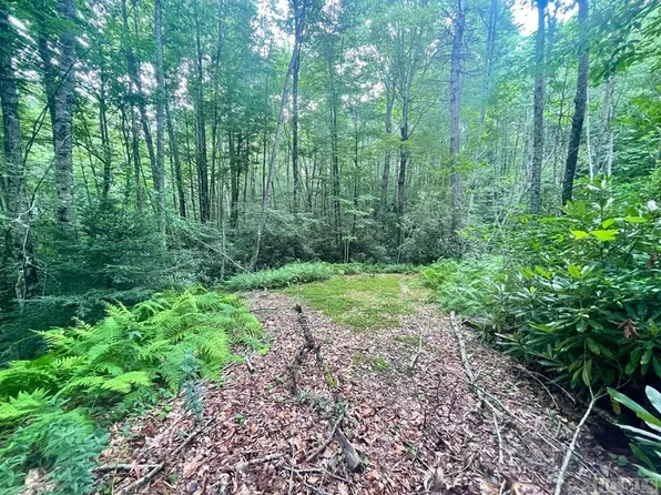 24 Highland Bog Court, Sapphire, NC 28774