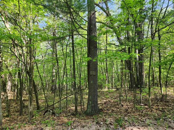 0 Bruin Ln, Jay, NY 12941