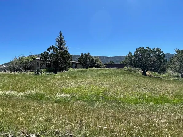 15452 Red Mountain Ln, Collbran, CO 81624