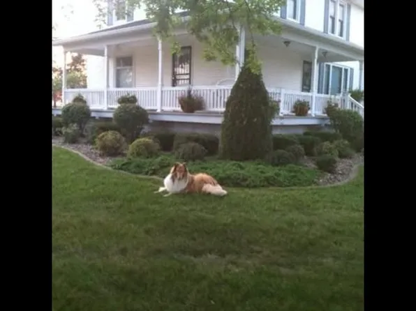 2183 210th St, Mount Pleasant, IA 52641