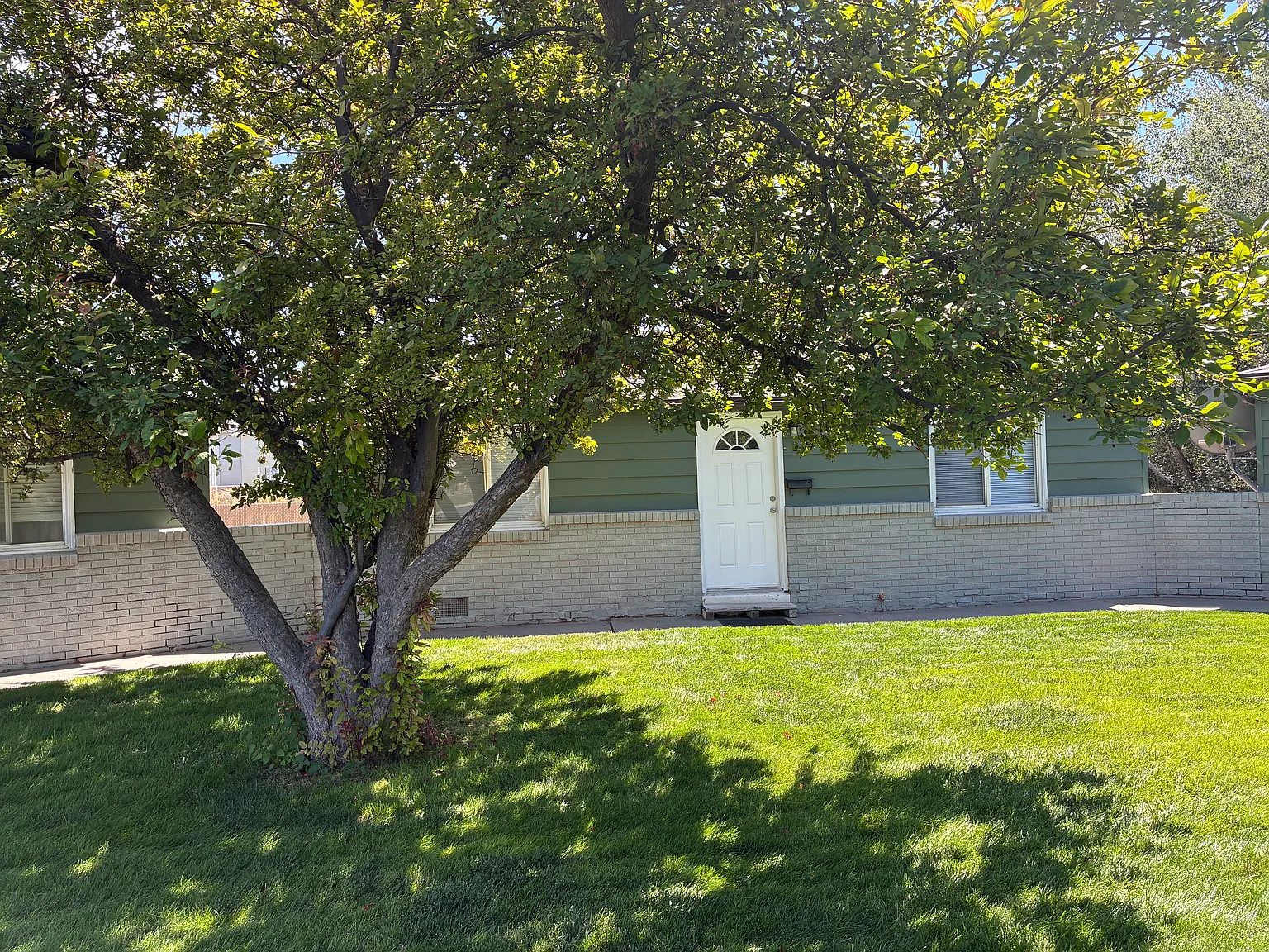 2 bed, $1,350 — Photo 2