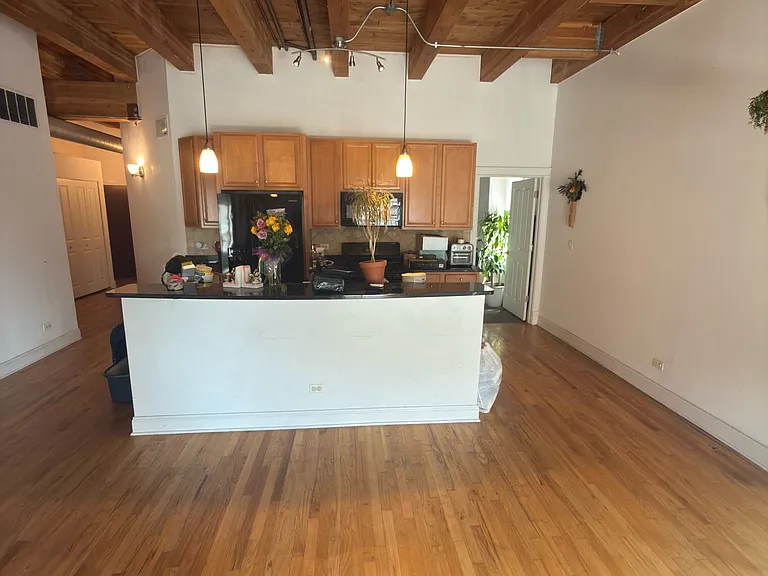 500 N Damen Ave #205 — Photo 70