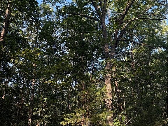 2nd image of LOT 20 Foxbrook Ln