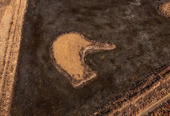 3rd image of 17040 Saline Rd