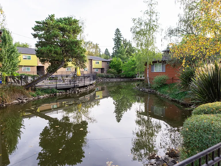 Pond