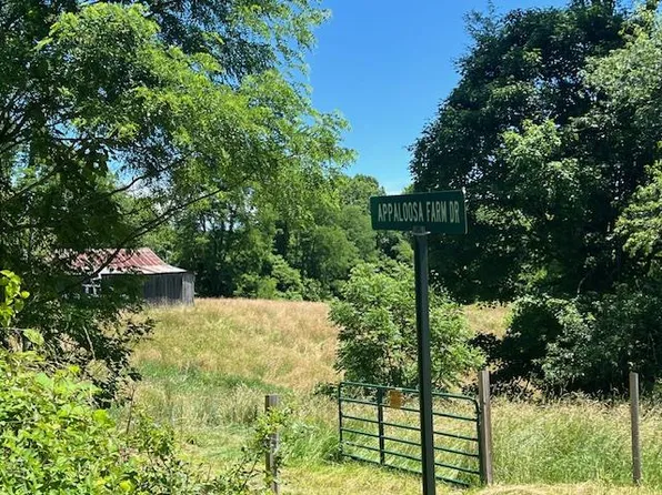 0 Ellison Ridge Rd, Jumping Branch, WV 25969