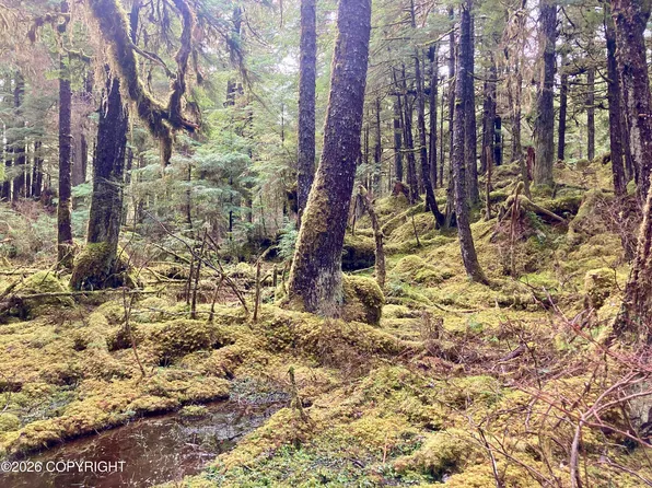 L9b18 South Thorne Bay, Thorne Bay, AK 99919