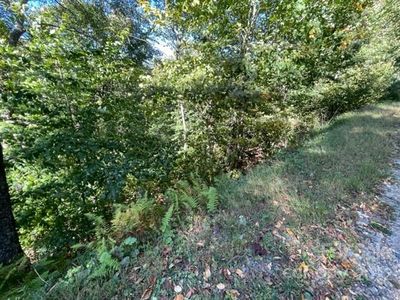 119 Chestnut Ln #119, Mars Hill, NC, 28754