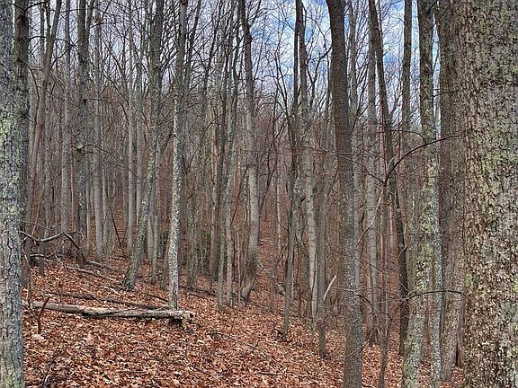 5th image of Dunkard Church Rd