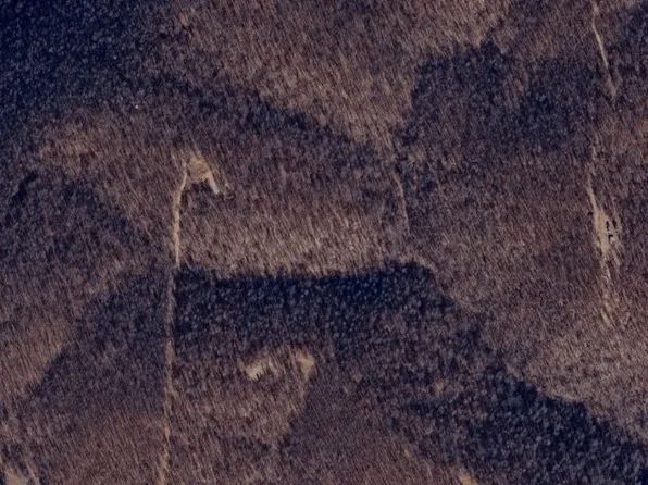 173 Mc #7006, Flippin, AR 72634