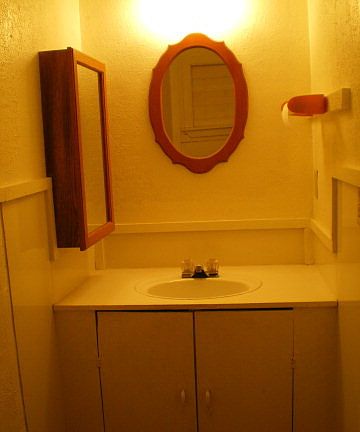 5th image of 313 Deinhard Ln
