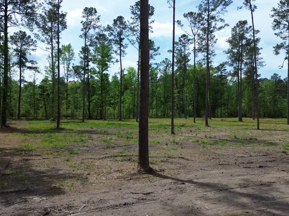 4 Pecan Dr, Holly Hill, SC 29059