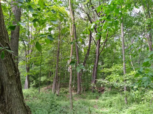 17130 Rose Hill Rd, Pinckney, MI 48169