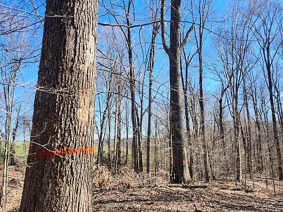 5th image of 7746 N Lydy Rd