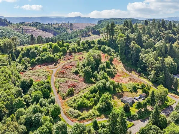 1830 Hazel Dell Road Lot 4, Castle Rock, WA 98611
