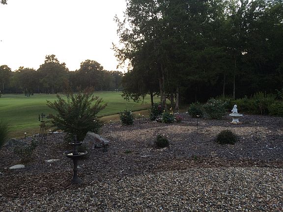 Backyard view summer