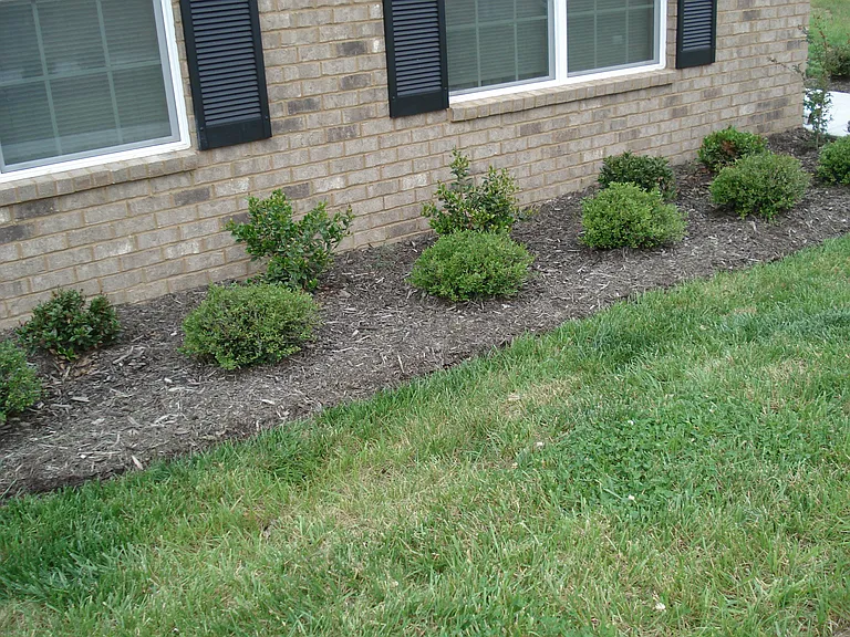 Dogwood Ridge Apartments — Photo 18