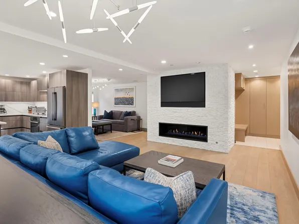 447 E Cooper Ave #1, Aspen, CO 81611