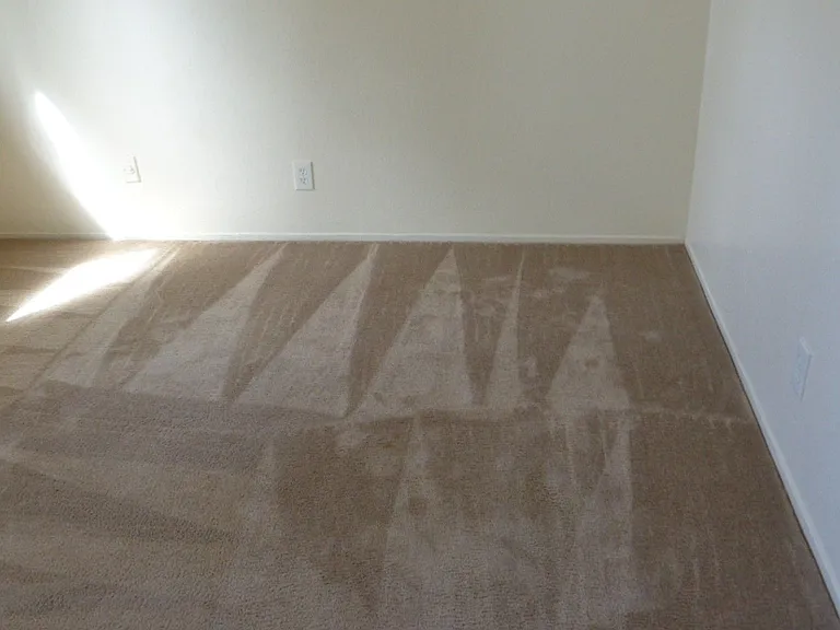 341 Del Norte Ave — Photo 7