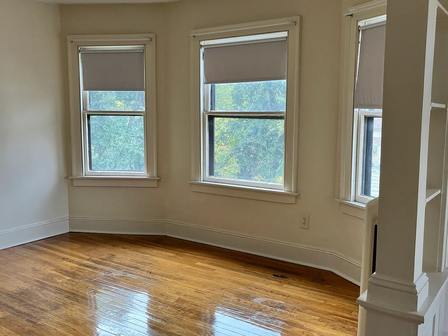 2 bed, 1.0 bath, 1000 sqft, $1,500 — Photo 3