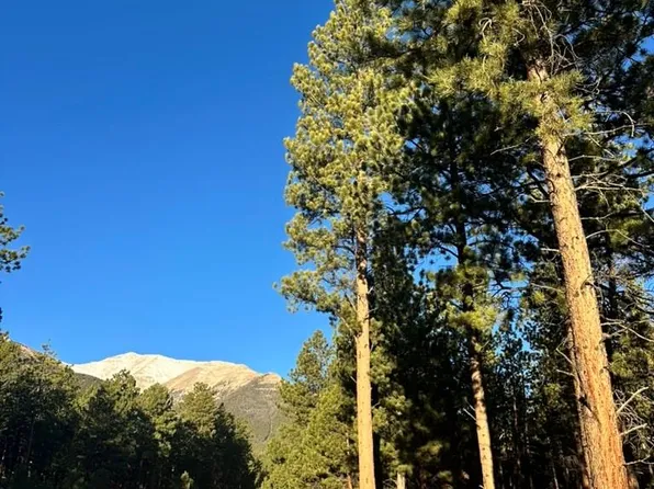 16703 Pine Grove Parkway LOT 6, Buena Vista, CO 81211