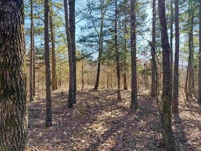 100 Guy Ln, Quitman, AR, 72131