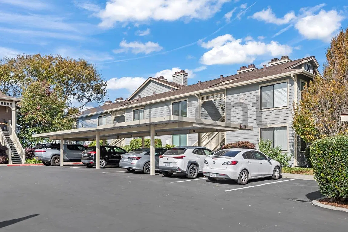 1 bed, 779 sqft, $2,500 — Photo 3