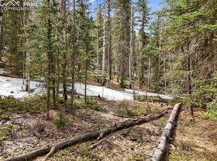 464 E Bison Creek Trl, Florissant, CO 80816