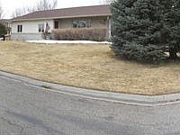 2nd image of 1171 Toole Ct