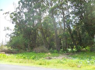 Kalake St LOT 38, Kamuela, HI 96743