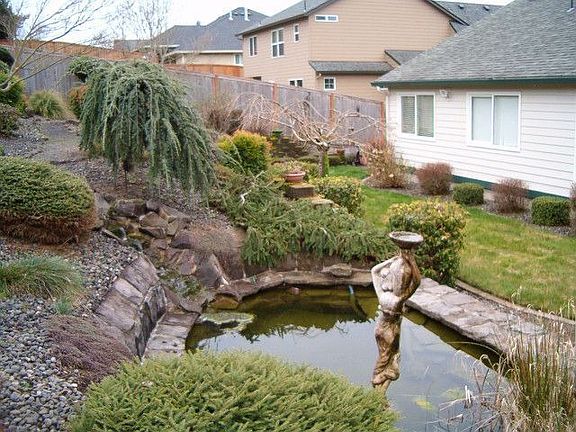 Back yard pond