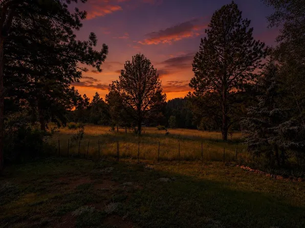 31280 Florence Road, Conifer, CO 80433