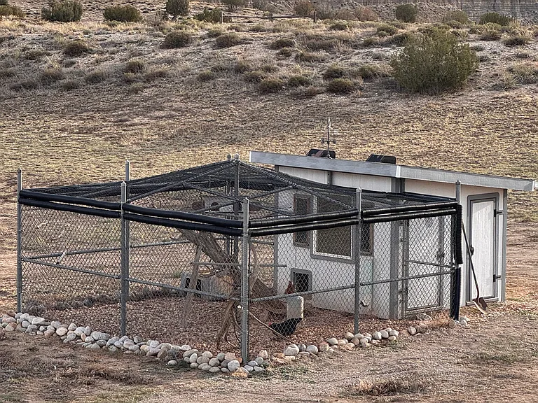 Chicken Coop