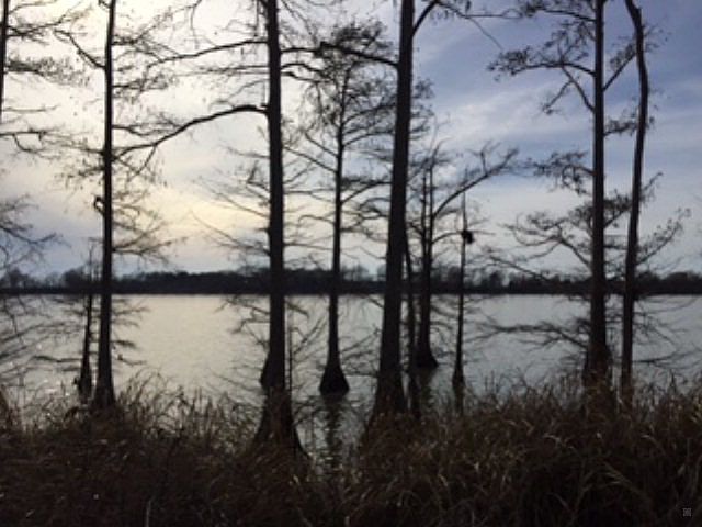 1st image of 1354 Marathon Point  Lot 6