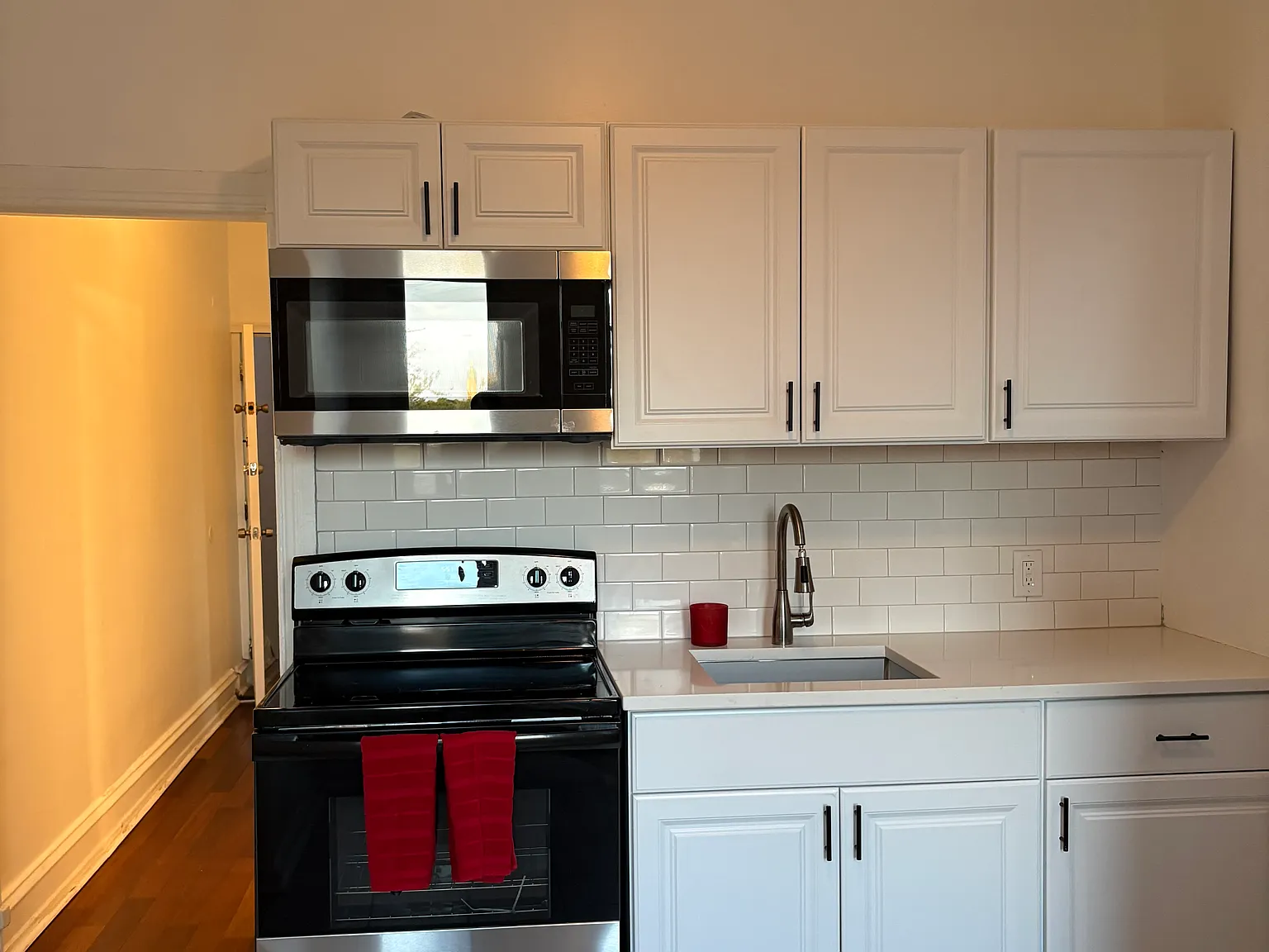 1 bed, 800 sqft, $1,250 — Photo 4