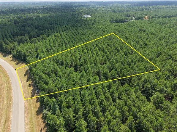 15785 Woodlife Rd, Willis, TX 77378