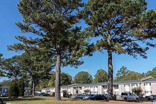 Newport Landing Apartments Photo 1