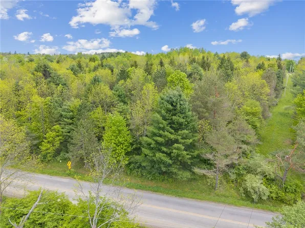 LOT 7B Blackman Hill Rd #13, Berkshire, NY 13736