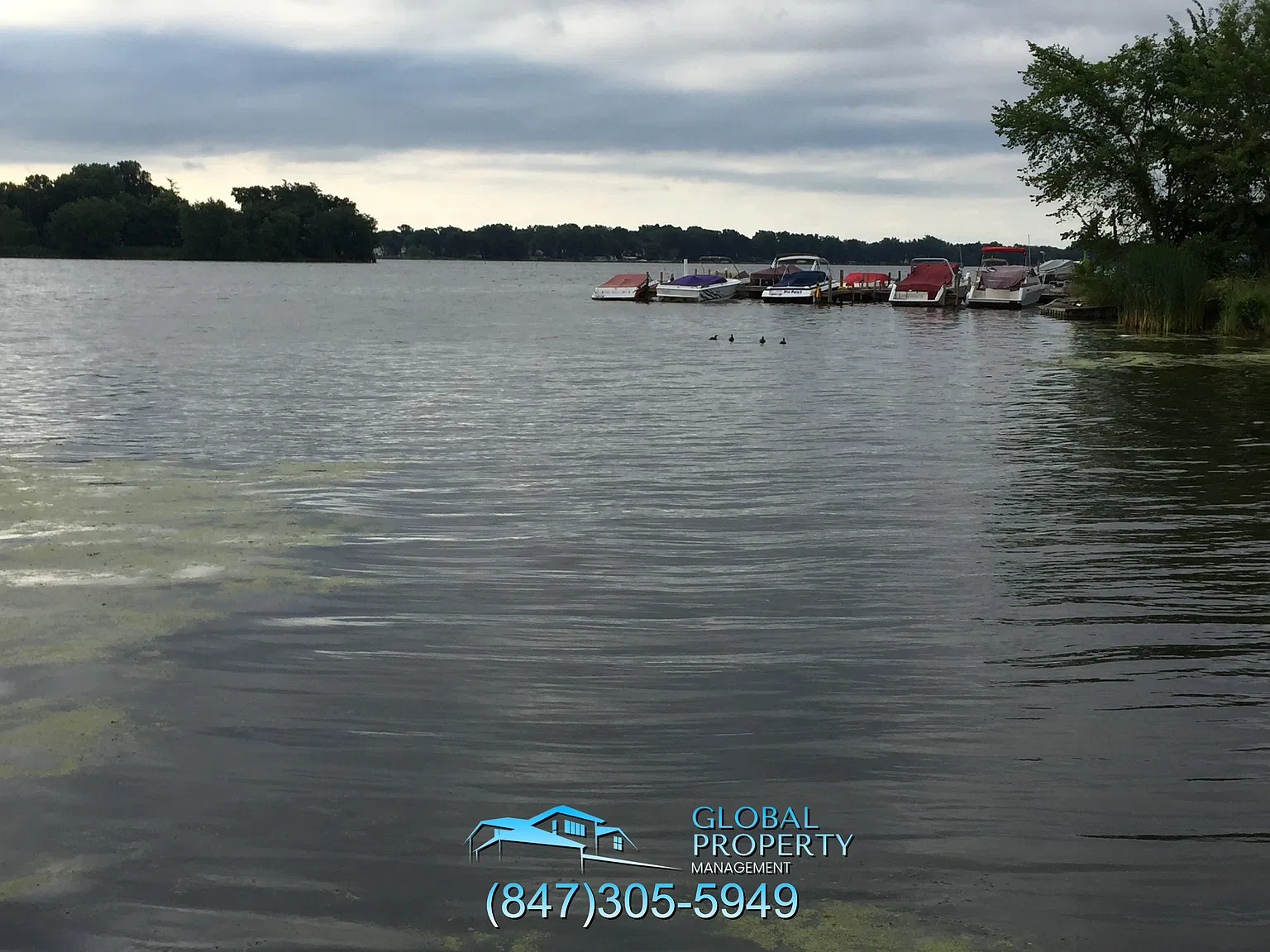 3 bed, 925 sqft, $1,650 — Photo 4