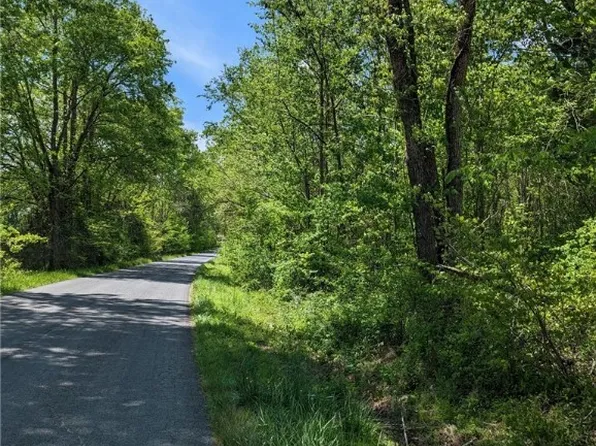 Buckingham Springs Rd Lot 3, Dillwyn, VA 23936