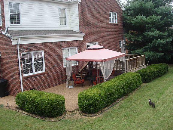 3rd image of 842 Walden Dr