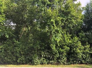 342 Alemander Ave, Debary, FL 32713