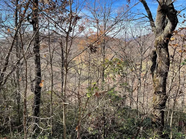 LOT-31J Ash Branch Cir, Hayesville, NC 28904