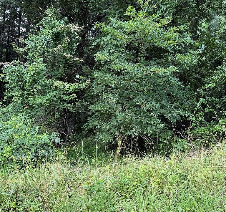 1st image of TBD 6-K River Run Lane