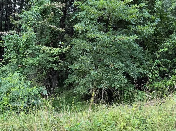TBD 6-K River Run Lane, Sparta, NC 28675