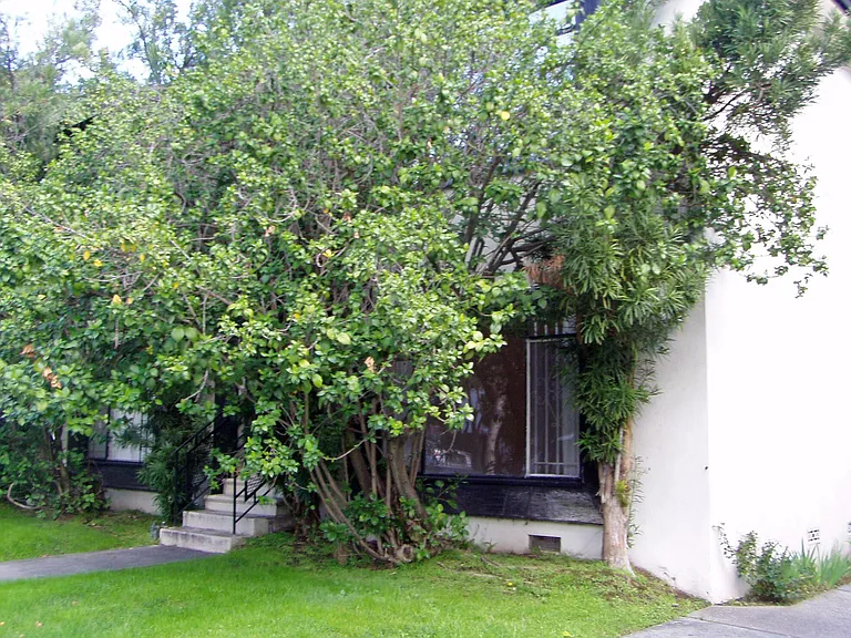 912 N Genesee Ave #8 — Photo 4