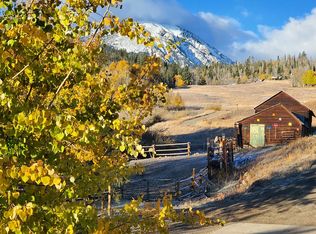 1555 S Ruby Rd, Silverthorne, CO 80498